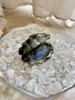 GemGem Crystal NEG Exclusive - Blue Flash Labradorite Shell<BR> 藍光拉長石貝殼晶石 67 grams - newearthstore
