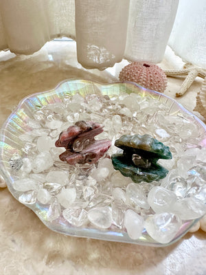 GemGem Crystal NEG Exclusive - Ocean Jasper And Rhodonite Mini Shells <BR> 海洋碧玉及薔薇輝貝殼晶石 33 grams - newearthstore