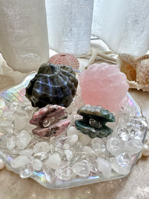 GemGem Crystal NEG Exclusive -Shells Bundle Set  <BR> 海洋系列貝殼晶石套裝 - newearthstore