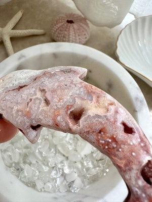 GemGem Crystal NEG Exclusive - Druzy Pink Lace Agate Dolphin  <BR> 粉紅蕾絲瑪瑙閃爍海豚晶石 35 grams - newearthstore