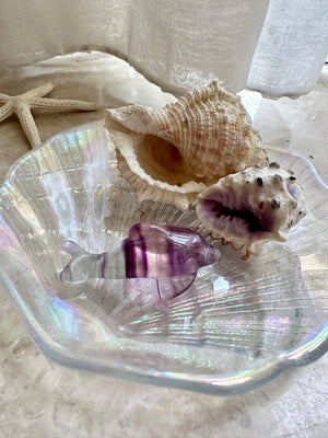GemGem Crystal NEG Exclusive - Layered Fluorite Little Dolphin <BR> 千層螢石小海豚 17 grams - newearthstore