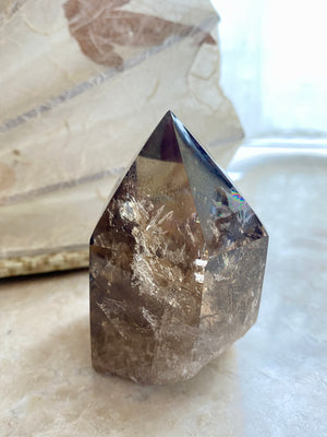 GemGem Crystal NEG Exclusive - Smoky Quartz Crystal Point  <BR> 濃色彩虹茶水晶晶柱 217 grams - newearthstore