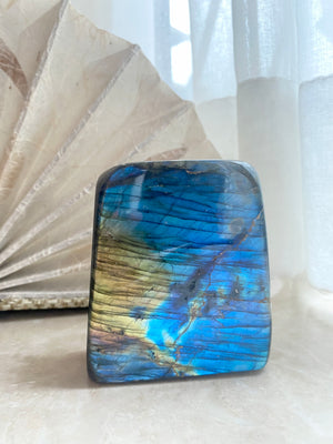 GemGem Crystal NEG Exclusive - Labradorite Crystal Freeform  <BR> 藍光拉長石擺件 626 grams - newearthstore