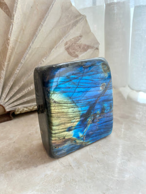 GemGem Crystal NEG Exclusive - Labradorite Crystal Freeform  <BR> 藍光拉長石擺件 626 grams - newearthstore