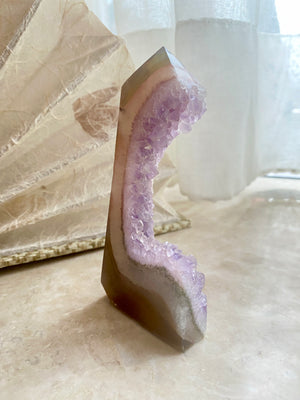 GemGem Crystal NEG Exclusive - Amethyst Agate <BR> 半晶柱狀紫水晶瑪瑙層 128 grams - newearthstore