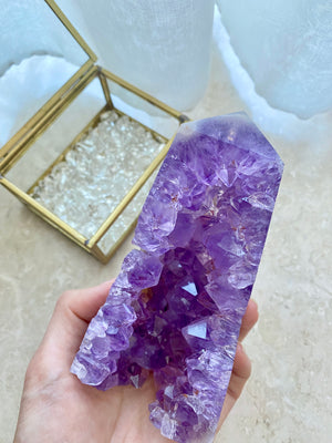 GemGem Crystal NEG Exclusive - Amethyst Tooth Crystal Point <BR> 濃色紫水晶晶牙水晶柱 410 grams - newearthstore