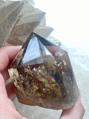 GemGem Crystal NEG Exclusive - Smoky Quartz Crystal Point  <BR> 濃色彩虹茶水晶晶柱 217 grams - newearthstore