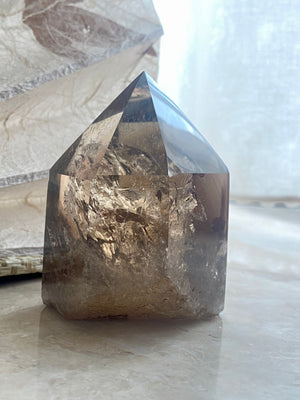 GemGem Crystal NEG Exclusive - Smoky Quartz Crystal Point  <BR> 濃色彩虹茶水晶晶柱 217 grams - newearthstore