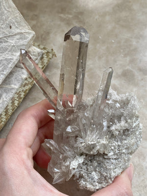 GemGem Crystal NEG Exclusive - Himalayan Smoky Quartz Cluster<BR> 喜瑪拉雅茶水晶晶簇 - newearthstore