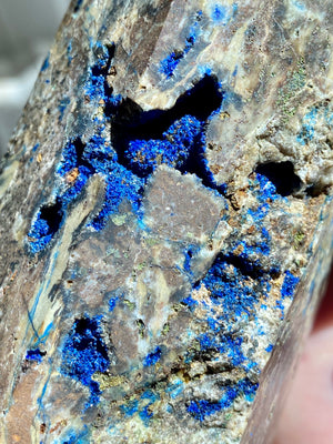 GemGem Crystal NEG Exclusive - Azurite Crystal Point From India <BR> 藍銅礦水晶柱 673 grams - newearthstore