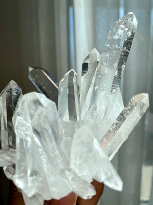 GemGem Crystal x NEG Exclusive Collection - Lermurian Quartz Crystal Cluster From India <BR> 列木里亞水晶簇 285 grams - newearthstore