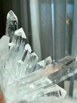 GemGem Crystal x NEG Exclusive Collection - Lermurian Quartz Crystal Cluster From India <BR> 列木里亞水晶簇 285 grams - newearthstore