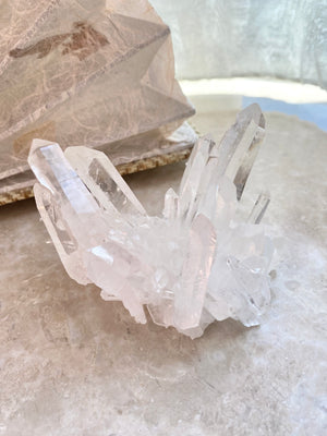 GemGem Crystal x NEG Exclusive Collection - Lermurian Quartz Crystal Cluster From India <BR> 列木里亞水晶簇 285 grams - newearthstore