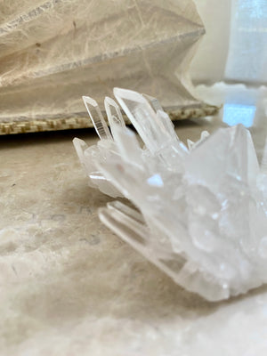 GemGem Crystal x NEG Exclusive Collection - Lemurian Quartz cluster <BR> 列木里亞水晶簇 90 grams - newearthstore