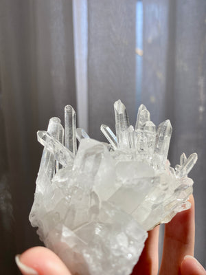 GemGem Crystal x NEG Exclusive Collection - Lemurian Quartz cluster <BR> 列木里亞水晶簇 90 grams - newearthstore
