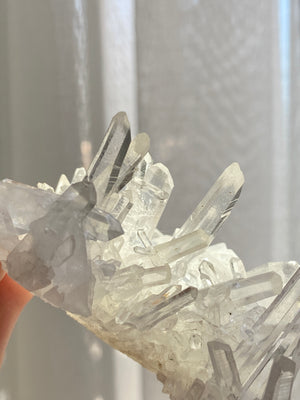 GemGem Crystal x NEG Exclusive Collection - Lemurian Quartz cluster <BR> 列木里亞水晶簇 90 grams - newearthstore