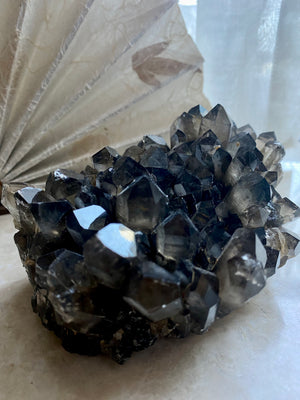 GemGem Crystal x NEG Exclusive Collection - Smoky Quartz Cluster <BR> 巨型茶水晶晶簇 1174 grams - newearthstore