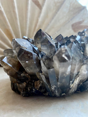 GemGem Crystal x NEG Exclusive Collection - Smoky Quartz Cluster <BR> 巨型茶水晶晶簇 1174 grams - newearthstore