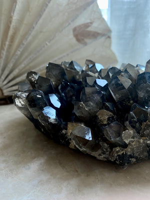 GemGem Crystal x NEG Exclusive Collection - Smoky Quartz Cluster <BR> 巨型茶水晶晶簇 1174 grams - newearthstore