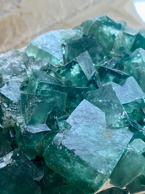 GemGem Crystal x NEG Exclusive Collection - Green Fluorite Cubes Cluster <BR> 巨型立方體綠螢石水晶簇 1080 grams - newearthstore