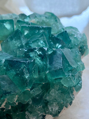 GemGem Crystal x NEG Exclusive Collection - Green Fluorite Cubes Cluster <BR> 巨型立方體綠螢石水晶簇 1080 grams - newearthstore