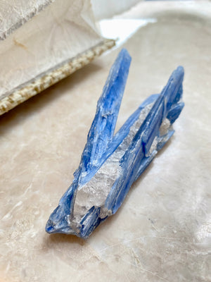 GemGem Crystal x NEG Exclusive - Kyanite Speicmen	<BR> 藍晶共生白水晶原礦 72 grams - newearthstore