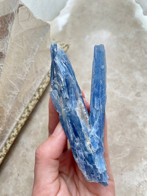 GemGem Crystal x NEG Exclusive - Kyanite Speicmen	<BR> 藍晶共生白水晶原礦 72 grams - newearthstore
