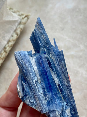 GemGem Crystal x NEG Exclusive - Kyanite Speicmen <BR> 藍晶原礦 82 grams - newearthstore