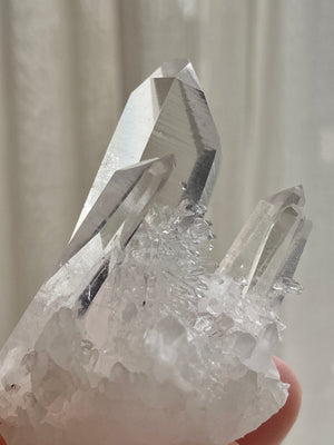 GemGem Crystal x NEG Exclusive - Mini Lemurian Quartz Cluster <BR> 迷你列木里亞水晶簇 48 grams - newearthstore