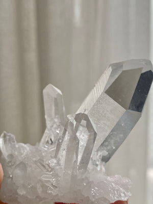 GemGem Crystal x NEG Exclusive - Mini Lemurian Quartz Cluster <BR> 迷你列木里亞水晶簇 48 grams - newearthstore