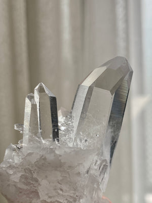 GemGem Crystal x NEG Exclusive - Mini Lemurian Quartz Cluster <BR> 迷你列木里亞水晶簇 48 grams - newearthstore