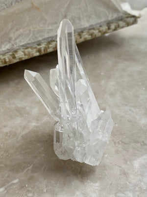 GemGem Crystal x NEG Exclusive - Mini Lemurian Quartz Cluster <BR> 迷你列木里亞水晶簇 36 grams - newearthstore
