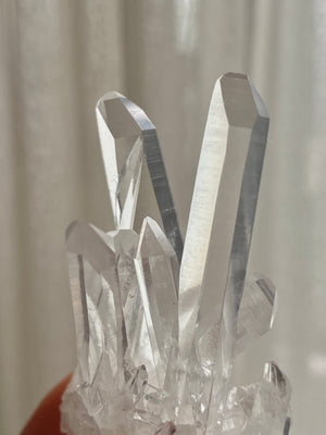 GemGem Crystal x NEG Exclusive - Mini Lemurian Quartz Cluster <BR> 迷你列木里亞水晶簇 36 grams - newearthstore
