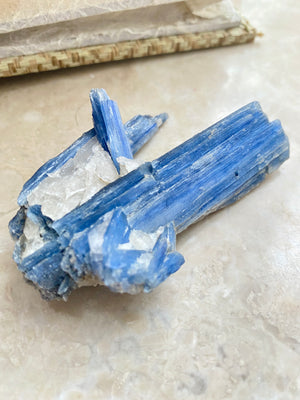 GemGem Crystal x NEG Exclusive - Kyanite with Quartz cluster  <BR> 藍晶共生白水晶原礦 65 grams - newearthstore