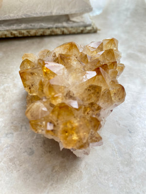 GemGem Crystal x NEG Exclusive - Citrine with red Rutailed cluster <BR> 黃水晶紅髮共生水晶簇 186 grams - newearthstore