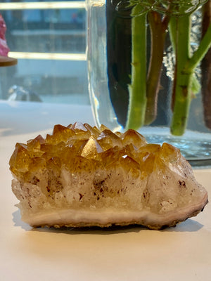 GemGem Crystal x NEG Exclusive - Citrine with red Rutailed cluster <BR> 黃水晶紅髮共生水晶簇 186 grams - newearthstore