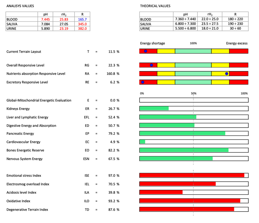 Bio Terrain Analysis 抽血版身體生物地勢分析檢測 + Live Blood Analysis 活血檢測  (檢測及報告分析) - newearthstore