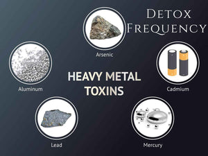 Frequency - Heavy Metal Detox Program <BR> 重金屬排毒頻率程式 - newearthstore